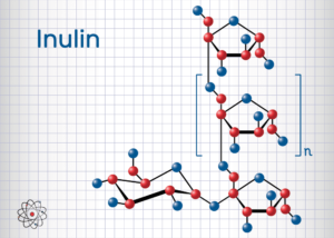 Inulin