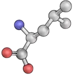 L-leucine