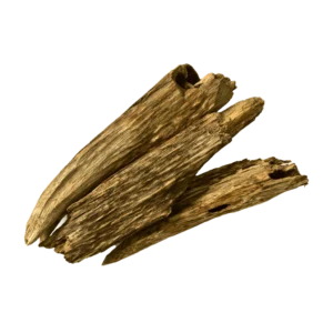 French Maritime Pine Bark