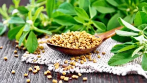 Imagem do ingrediente Fenugreek