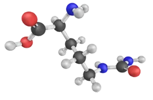 L-Citrulline